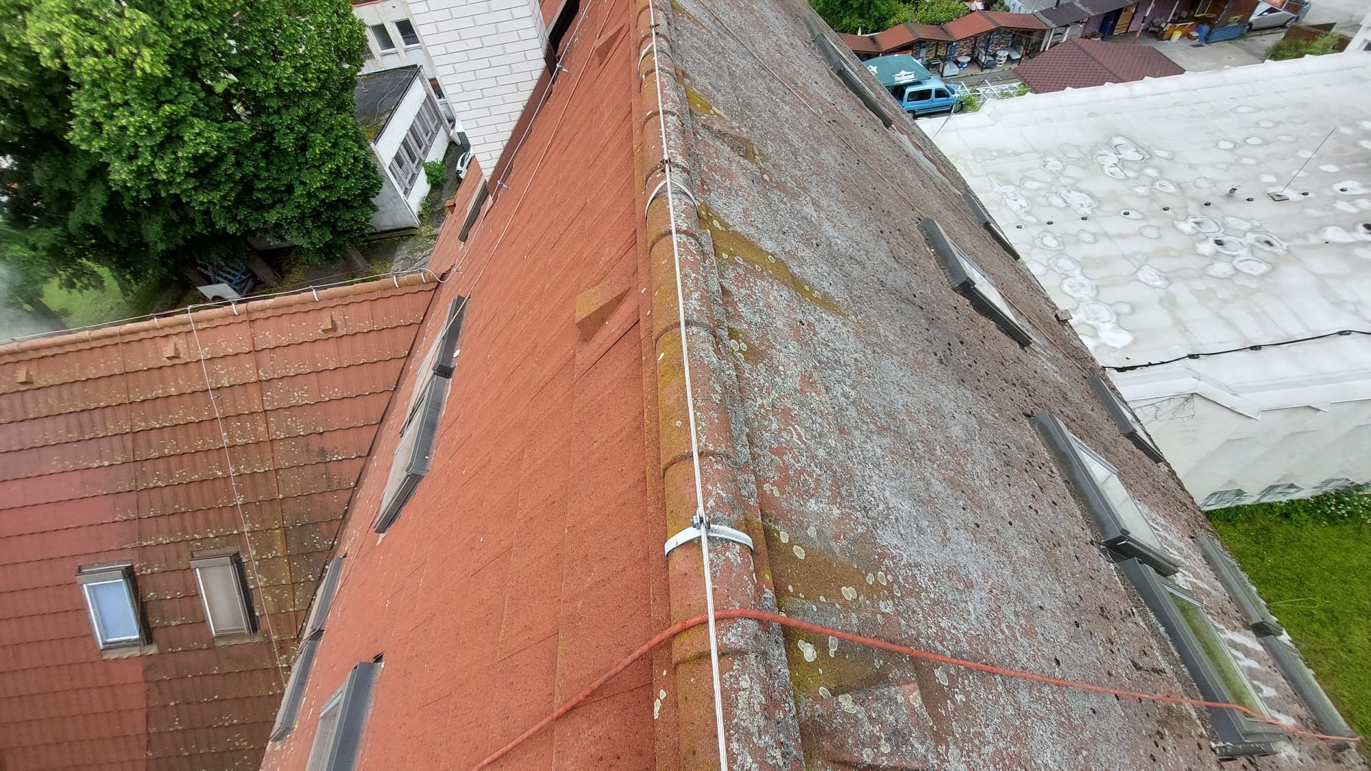 Odstraňovanie machov a lišajníkov